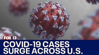 COVID19 infections surging across the country  FOX 13 Seattle [upl. by Nedearb]