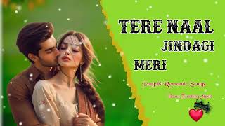 Tere Naal Jindgi Meri  Punjabi Romantic Song Heart Touching Music  Love Story Song Hindi love [upl. by Etnuahs]