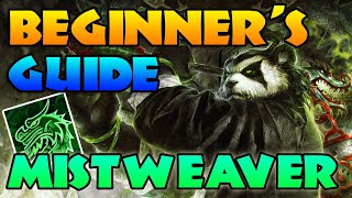 Mistweaver Guide for Beginners  Monk 1017 WOW Dragonflight [upl. by Amehr889]