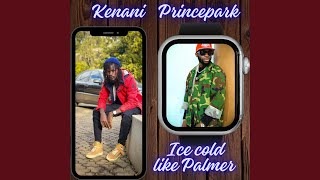 Ice Cold Like Palmer [upl. by Ataymik]