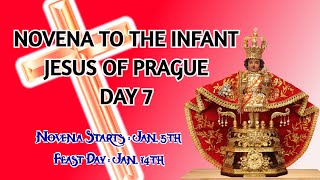 NOVENA TO THE INFANT JESUS OF PRAGUE  DAY 7 4K VIDEO [upl. by Wells]