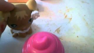 LPS behind the scenes  chicken nugget stuff [upl. by Dougy]