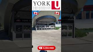 Top 3 Universities in Toronto Canada 2024 study students [upl. by Trout]