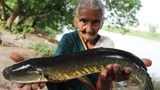 Koramenu Fish Recipe  Murrel Fish curry By Granny Mastanamma [upl. by Wimsatt]