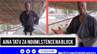 JIFUNZE KARETI KARATE AINA TATU ZA NGUMI STENCE NA JINSI YA KUZUIA [upl. by Adnilreh875]