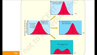 EvolutionCONCEPT GRAPH on Natural selection NEET [upl. by Hcardahs]