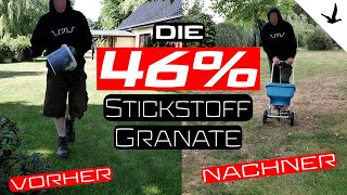 Rasendünger Harnstoff 46 Stickstoff🚩Rasenrettung nach der großen Dürre [upl. by Strephon]