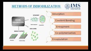 Enzyme immobilization [upl. by Akcimehs806]