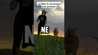 Ne faites la concurrence avec personne leçondevie citation motivation viral H5Motivation [upl. by Yregerg608]