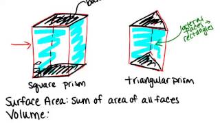 Prisms Lesson Geometry Concepts [upl. by Denni66]