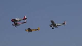 Fly Navy Trainers  Tutor Magister Tiger Moth Chipmunk  Shuttleworth Fly Navy Airshow 2016 [upl. by Yelir867]