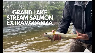 Downeast Maine Salmon and Bass Fly fishing [upl. by Olive]