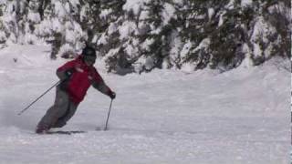 CANSI Presents Skiing Standards  Telemark [upl. by Ecille]