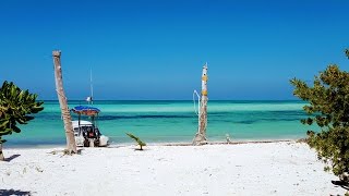 Cozumel Mexico Excursions Pearl Farm [upl. by Ettezil]