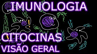 Aula Imunologia  Citocinas 13  Visão Geral  Imunologia 9 [upl. by Docile769]