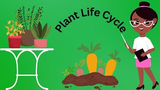 The Amazing Plant Life Cycle🌱Let The Children Play🍓🥭 Simple Science for Preschool Children [upl. by Smada597]