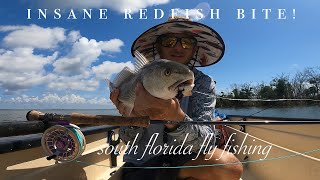 EPIC day fly fishing for redfish in south Florida post hurricane chew [upl. by Nosyaj586]