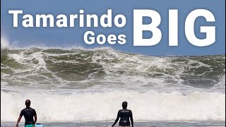 September Swell 2023 Tamarindo Goes Big [upl. by Grannia]