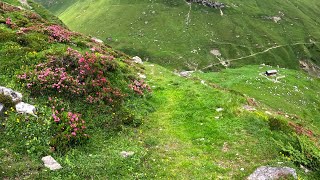 E Mountainbike Tour Alp Anarosa [upl. by Dibru205]