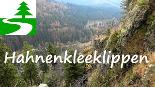 Wandern im Harz  Braunlage Achtermann Hahnenkleeklippen [upl. by Viridis944]