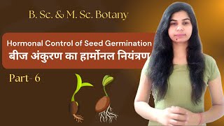 Hormonal Control of Seed Germination  B Sc amp M Sc Botany  हिंदी में [upl. by Htur]