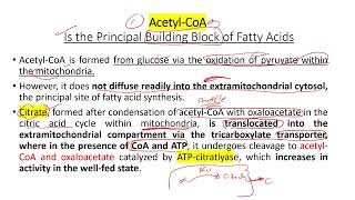 lec 15 part 1 fatty acid synthesis [upl. by Yahsal]