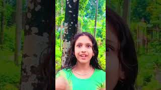 🥰🥰 Evening time 🥰🥰🥰 comment karo guys kaisa laga likeshare shortvideo subscribe [upl. by Rosy808]