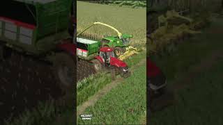 Corn Silage Harvest with John Deere 9900i  Farming Simulator 22 [upl. by Blank]