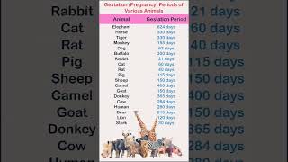 Gestation period🤰sciencetechnologybiologyenglishlearningstudentcoachingmotivationconfidence [upl. by Suivat]