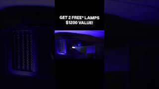 Receive 2 free lamps 1200 value [upl. by Elleneg234]