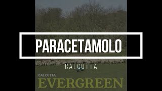 Calcutta  Paracetamolo Base Strumentale Karaoke [upl. by Halie]