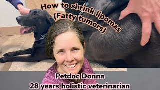 How to Shrink Lipomas in Dogs using holistic treatments such as diet herbs acupuncture [upl. by Ennayrb]