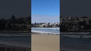 Bondi Beach Sydney Australia sydneyview sydney australia beach shorts trending [upl. by Nnylanna762]