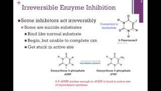 048Irreversible Enzyme Inhibition [upl. by Nataniel999]