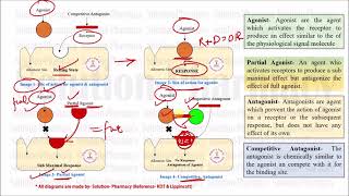 Class 36 Competitive and Noncompetitive antagonist  Medicinal Chemistry 01  What is Antagonist [upl. by Timothy]