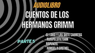 Cuentos para Dormir  Los hermanos Grimm Audiolibro en Español Pantalla Negra Parte 5 [upl. by Market]