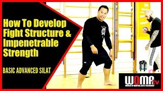 How To Develop Flowing Fight Structure amp Impenetrable Strength BASIC ADVANCED SILAT [upl. by Ihc]