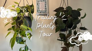 Trailing Plants Tour [upl. by Hyland223]