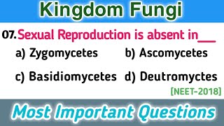 fungi mcq  classification of fungi  biological classification mcq [upl. by Harvison]