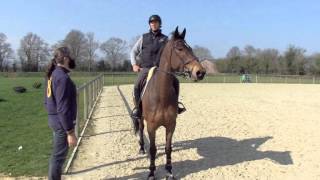 Sébastien Chabal découvre le jumping  Episode 26  JO 2012  Equidia Life [upl. by Aggappera]