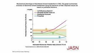 Phosphorus Part 4 Phosphate Homeostasis 3 [upl. by Eralcyram]