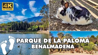 Explore BENALMÁDENA Parque de la Paloma ► Walking Tour 4K ► [upl. by Hayashi]