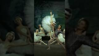 Rudolf Nureyev amp Margot Fonteyn Pas de Deux SWAN LAKE ACT 4 a Tchaikovsky ballet shorts ballet [upl. by Thurlough]