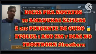 DICAS PRA NOVATOS 35 AMADURAS ÉLFICAS E 210 PINGENTE DE OURO 🥇 EVOLUA 1 ANO EM 7 DIAS NO FROSTBORN [upl. by Light]