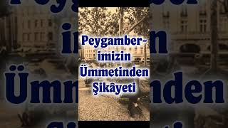 Peygamberimizin Şikâyeti kuranmealleri hzmuhammed peygamberimiz paygamberimizinşikayeti [upl. by Carrol872]