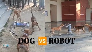 Dog Fighting with Robot 🐶  Dog Vs Robot In IIT Kanpur  puppies robotics techkriti [upl. by Scot57]