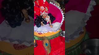 etni sundar chhavi h tranding laddu gopal thakurji viralvideo support subscribe kanhaji [upl. by Meesak504]