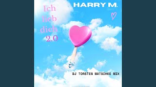 Ich lieb dich 20 DJ Torsten Matschke Mix [upl. by Eimas]