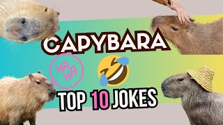 Capybaras tell Top 10 Jokes 4K Laugh together with the Capys [upl. by Etam]