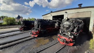 Festwochenende  125 Jahre Harzquer  und Brockenbahn 2408  25082024 [upl. by Algy496]